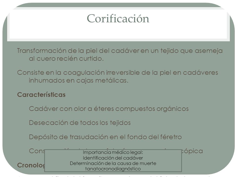 Corificación Transformación de la piel del cadáver en un tejido que asemeja al cuero recién curtido.