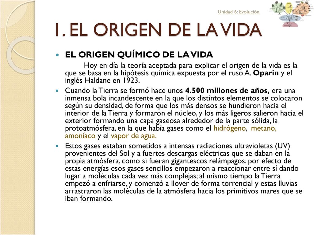 1. EL ORIGEN DE LA VIDA EL ORIGEN QUÍMICO DE LA VIDA