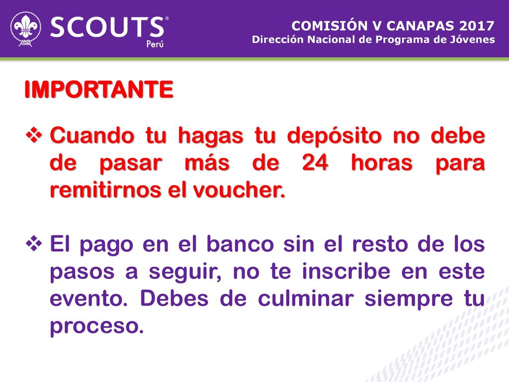 COMISIÓN V CANAPAS 2017 Dirección Nacional de Programa de Jóvenes. IMPORTANTE.