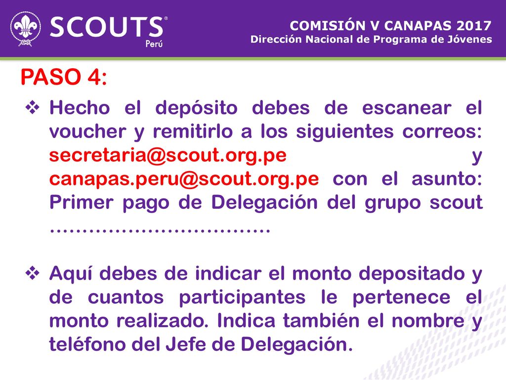 COMISIÓN V CANAPAS 2017 Dirección Nacional de Programa de Jóvenes. PASO 4: