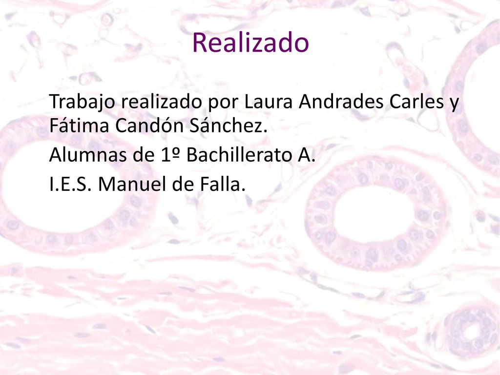 Realizado Trabajo realizado por Laura Andrades Carles y Fátima Candón Sánchez.