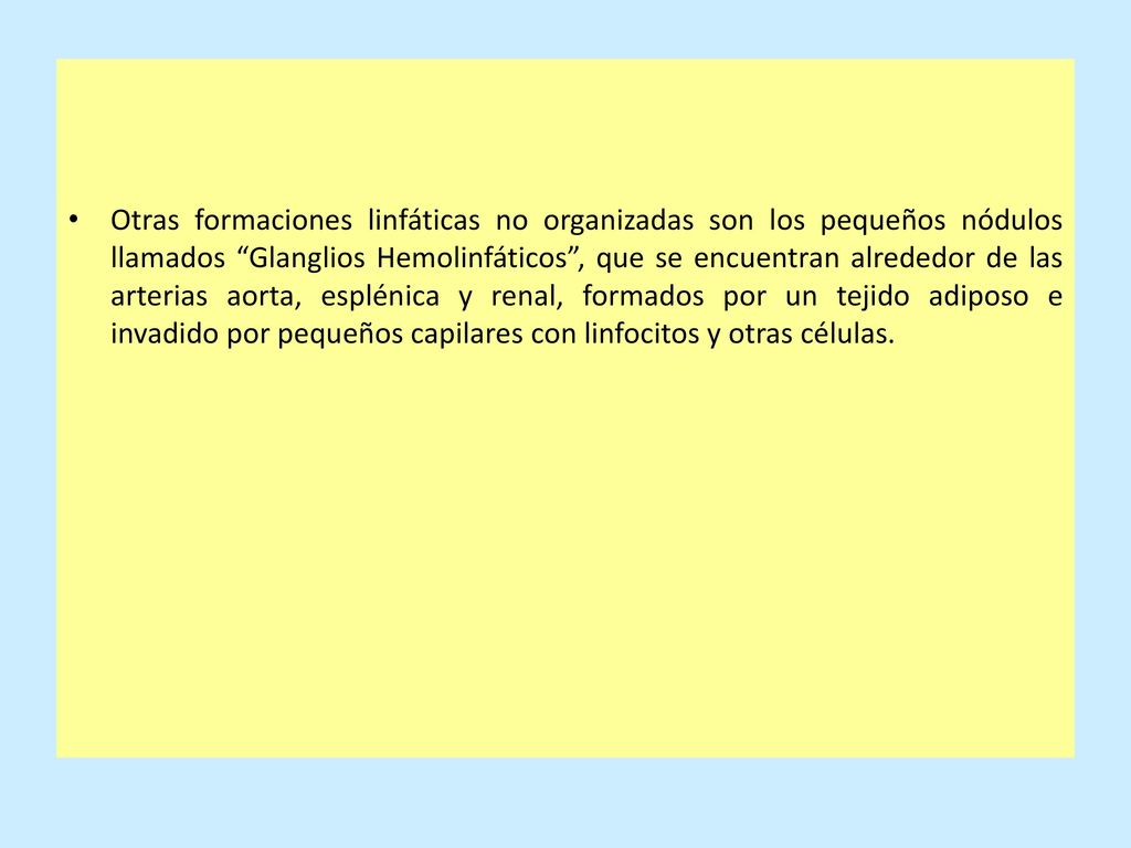 Otras formaciones linfáticas no organizadas son los pequeños nódulos llamados Glanglios Hemolinfáticos , que se encuentran alrededor de las arterias aorta, esplénica y renal, formados por un tejido adiposo e invadido por pequeños capilares con linfocitos y otras células.