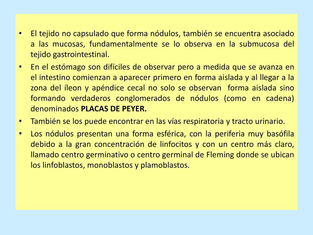 El tejido no capsulado que forma nódulos, también se encuentra asociado a las mucosas, fundamentalmente se lo observa en la submucosa del tejido gastrointestinal.