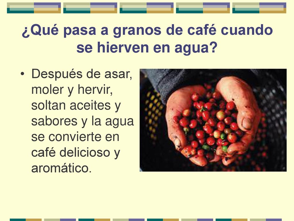 ¿Qué pasa a granos de café cuando se hierven en agua