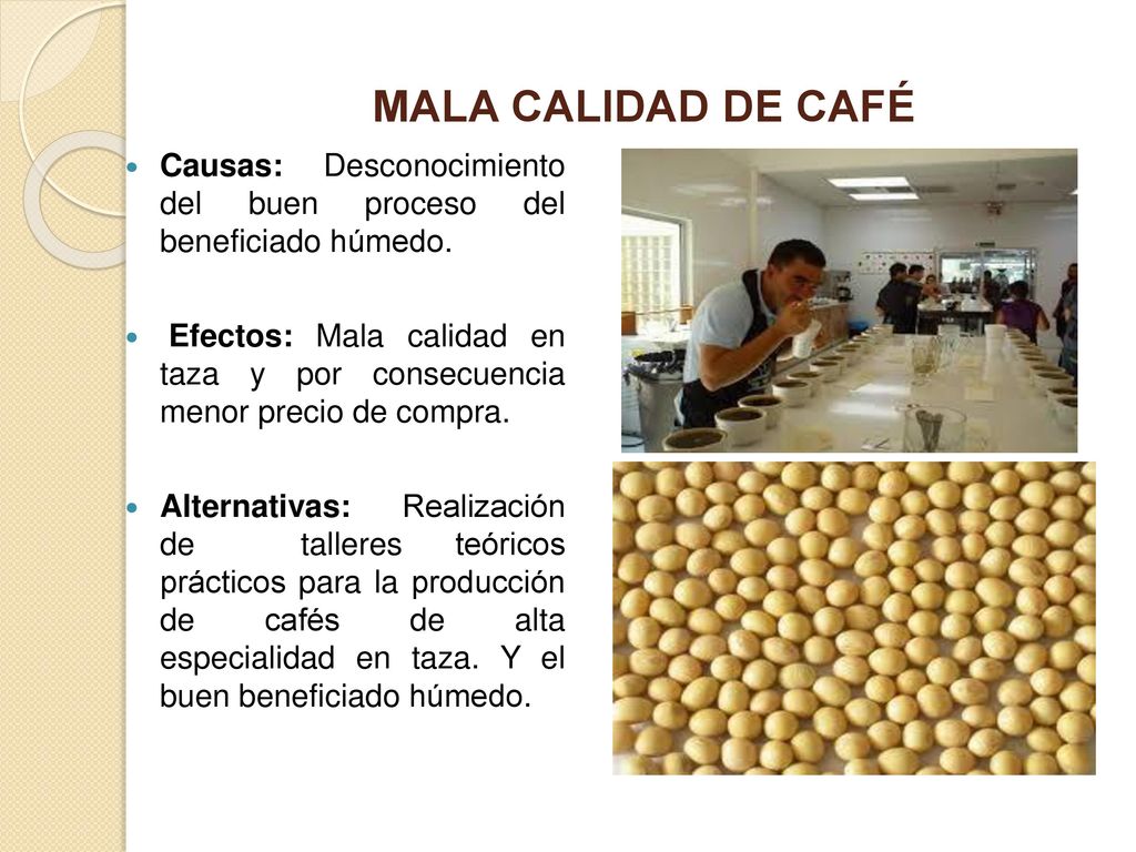 MALA CALIDAD DE CAFÉ Causas: Desconocimiento del buen proceso del beneficiado húmedo.