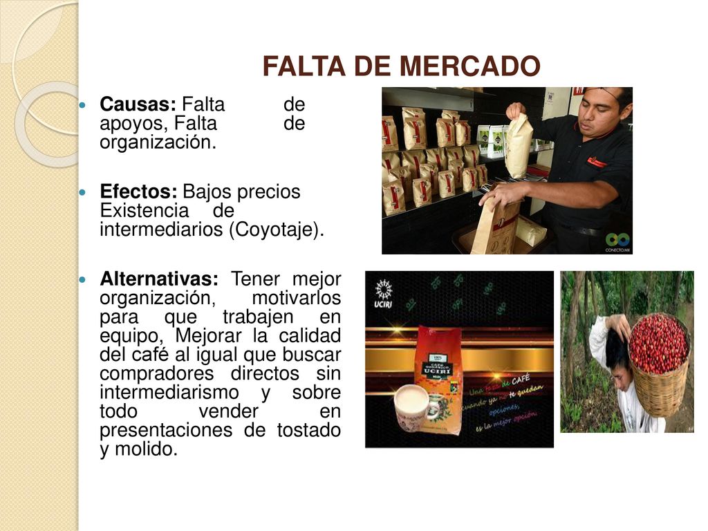 FALTA DE MERCADO Causas: Falta de apoyos, Falta de organización.