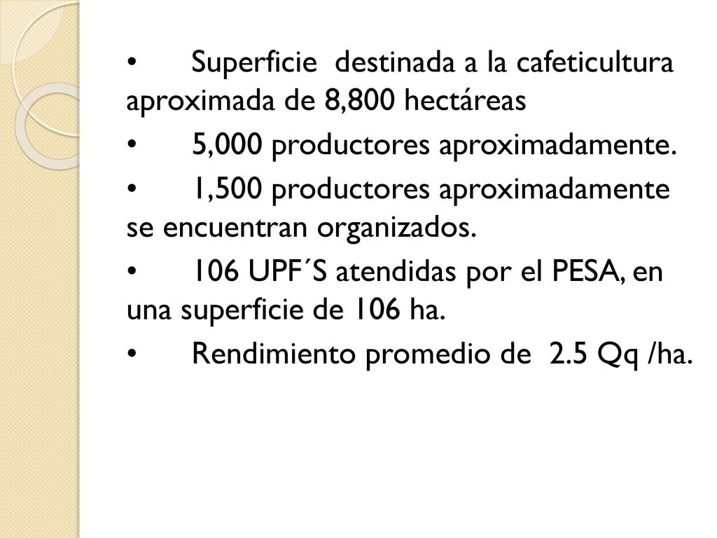 • Superficie destinada a la cafeticultura aproximada de 8,800 hectáreas • 5,000 productores aproximadamente.