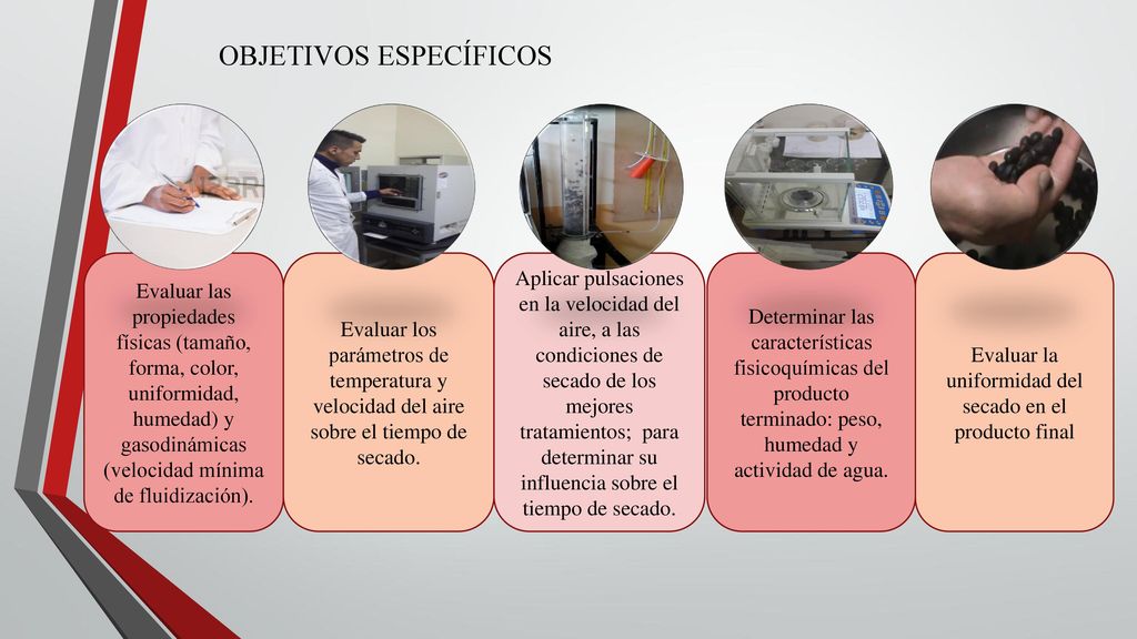 Evaluar la uniformidad del secado en el producto final