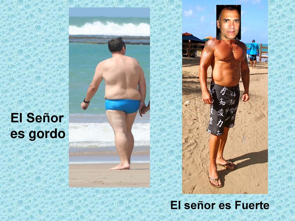 El Señor es gordo El señor es Fuerte