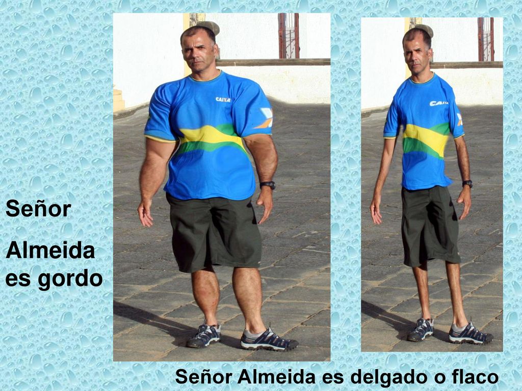 Señor Almeida es gordo Señor Almeida es delgado o flaco