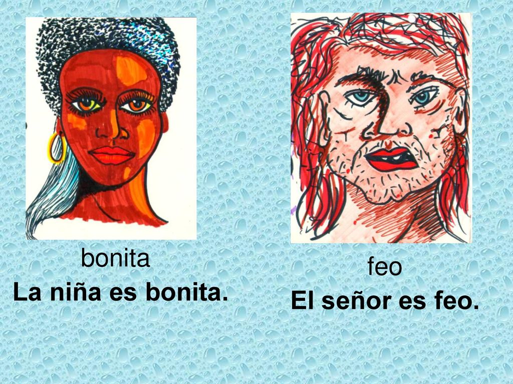 bonita feo La niña es bonita. El señor es feo.