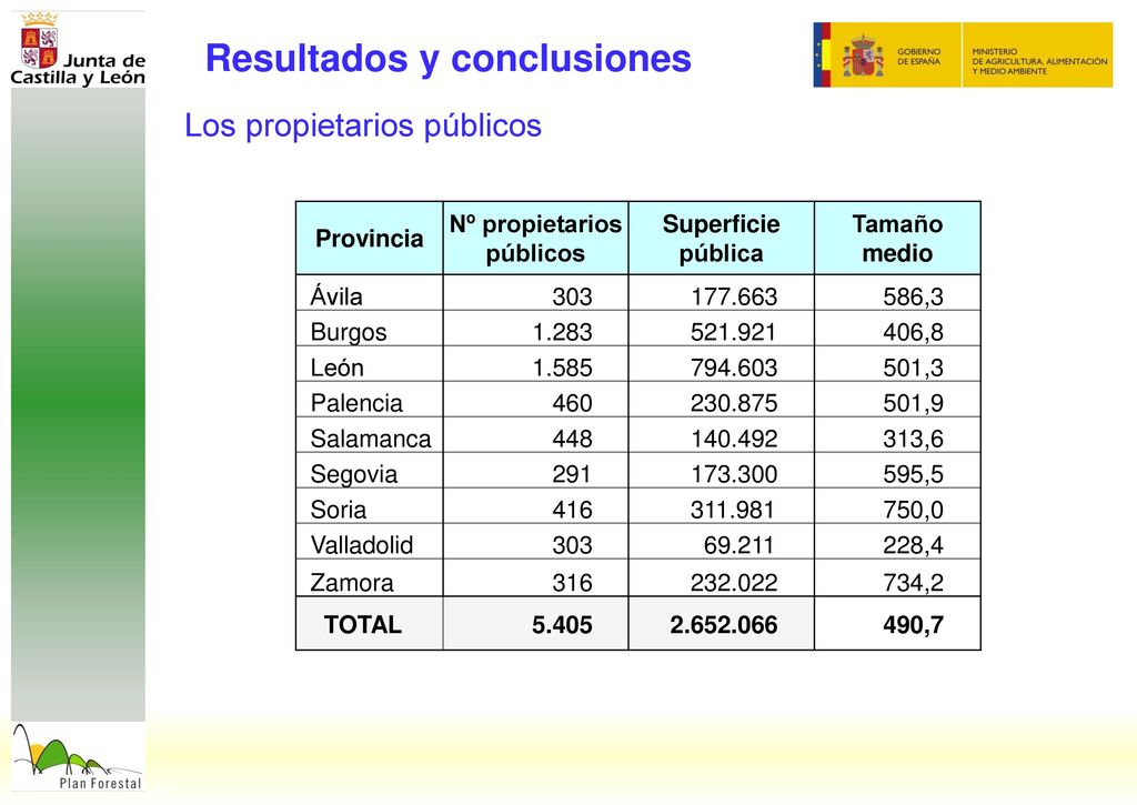 La distribución entre propiedad pública y privada es la que sigue: