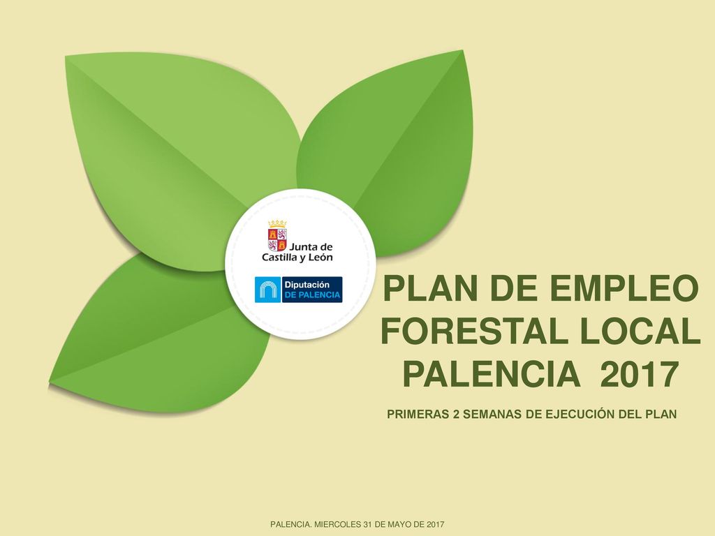 PLAN DE EMPLEO FORESTAL LOCAL PRIMERAS 2 SEMANAS DE EJECUCIÓN DEL PLAN