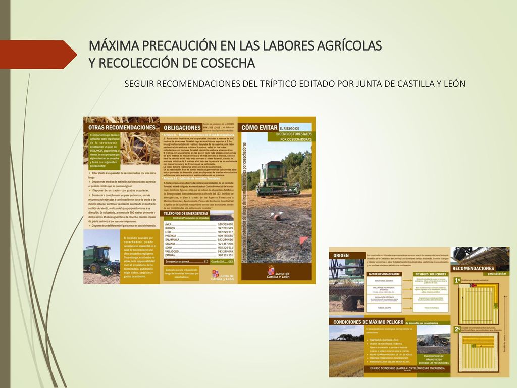 MÁXIMA PRECAUCIÓN EN LAS LABORES AGRÍCOLAS Y RECOLECCIÓN DE COSECHA