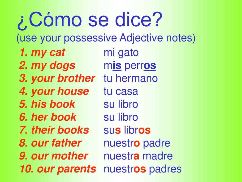 ¿Cómo se dice (use your possessive Adjective notes) 1. my cat