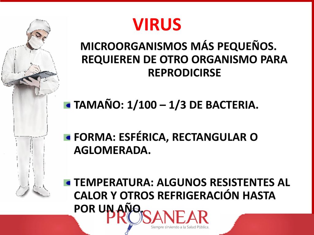 VIRUS MICROORGANISMOS MÁS PEQUEÑOS. REQUIEREN DE OTRO ORGANISMO PARA REPRODICIRSE. TAMAÑO: 1/100 – 1/3 DE BACTERIA.