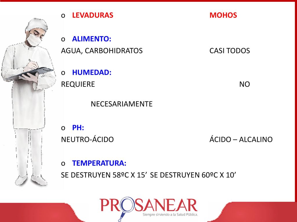 LEVADURAS MOHOS ALIMENTO: AGUA, CARBOHIDRATOS CASI TODOS. HUMEDAD: REQUIERE NO NECESARIAMENTE.