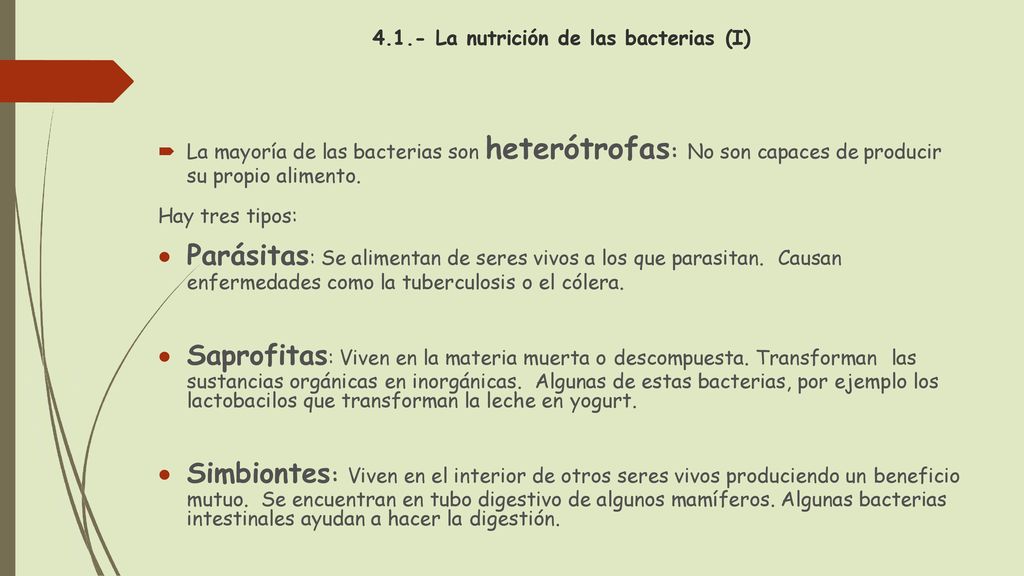 Parásitas: Se alimentan de seres vivos a los que parasitan. Causan