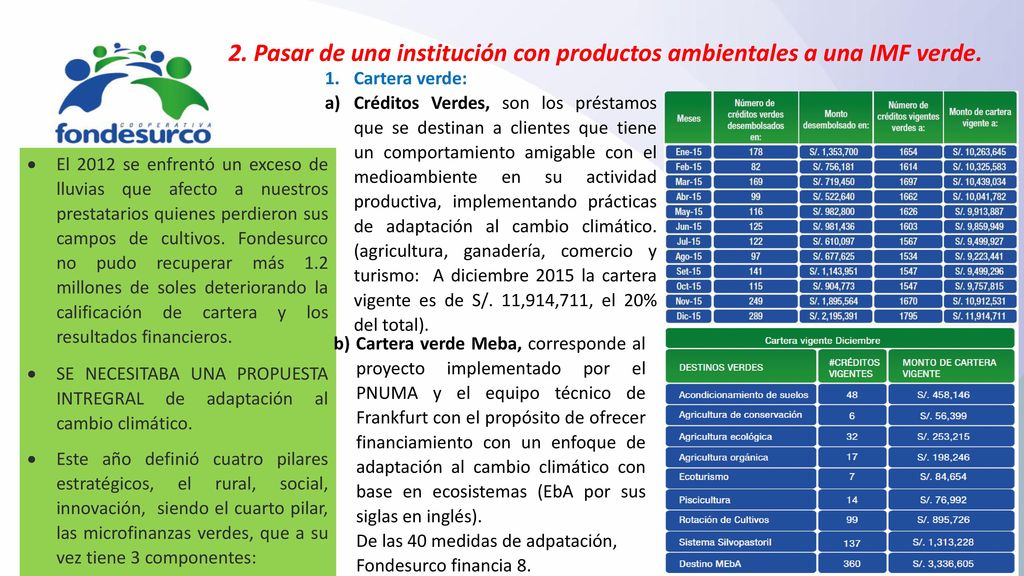 2. Pasar de una institución con productos ambientales a una IMF verde.