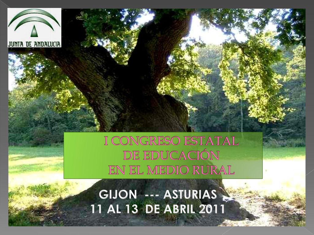 I CONGRESO ESTATAL DE EDUCACIÓN EN EL MEDIO RURAL GIJON --- ASTURIAS 11 AL 13 DE ABRIL 2011