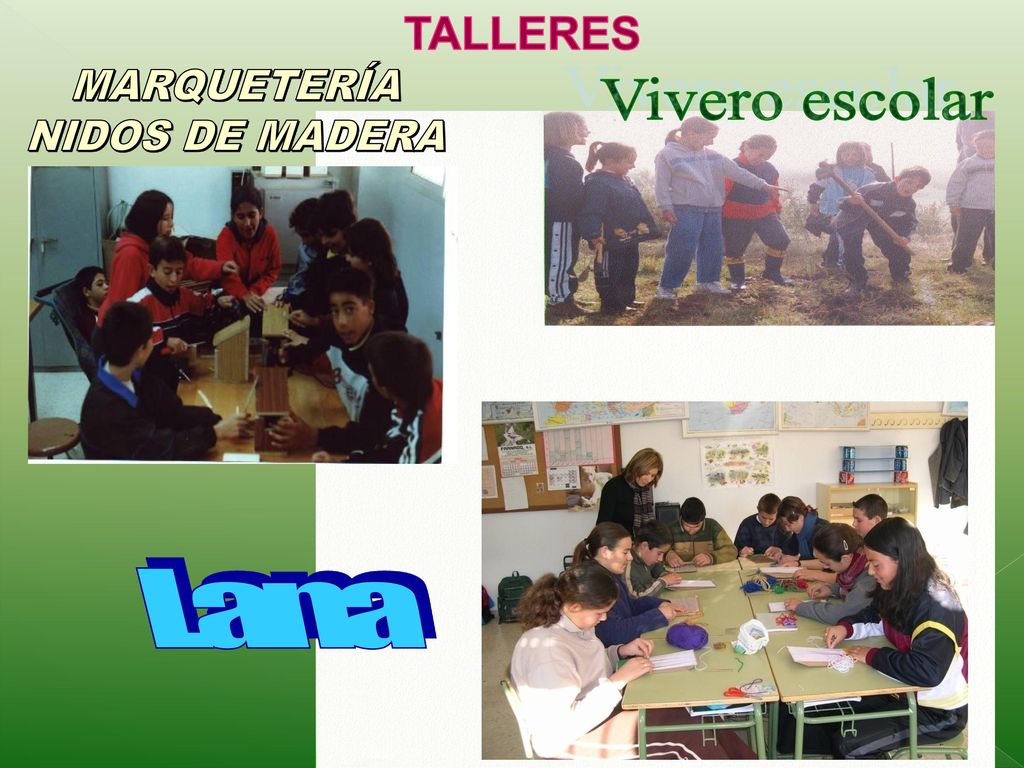 TALLERES MARQUETERÍA NIDOS DE MADERA Vivero escolar Lana