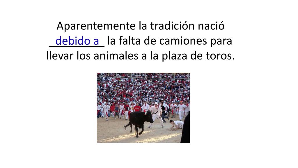 Aparentemente la tradición nació _________ la falta de camiones para llevar los animales a la plaza de toros.