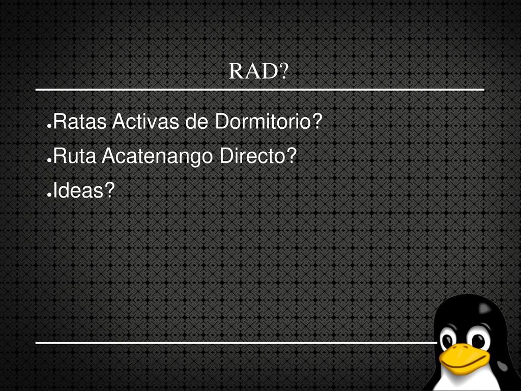 RAD Ratas Activas de Dormitorio Ruta Acatenango Directo Ideas