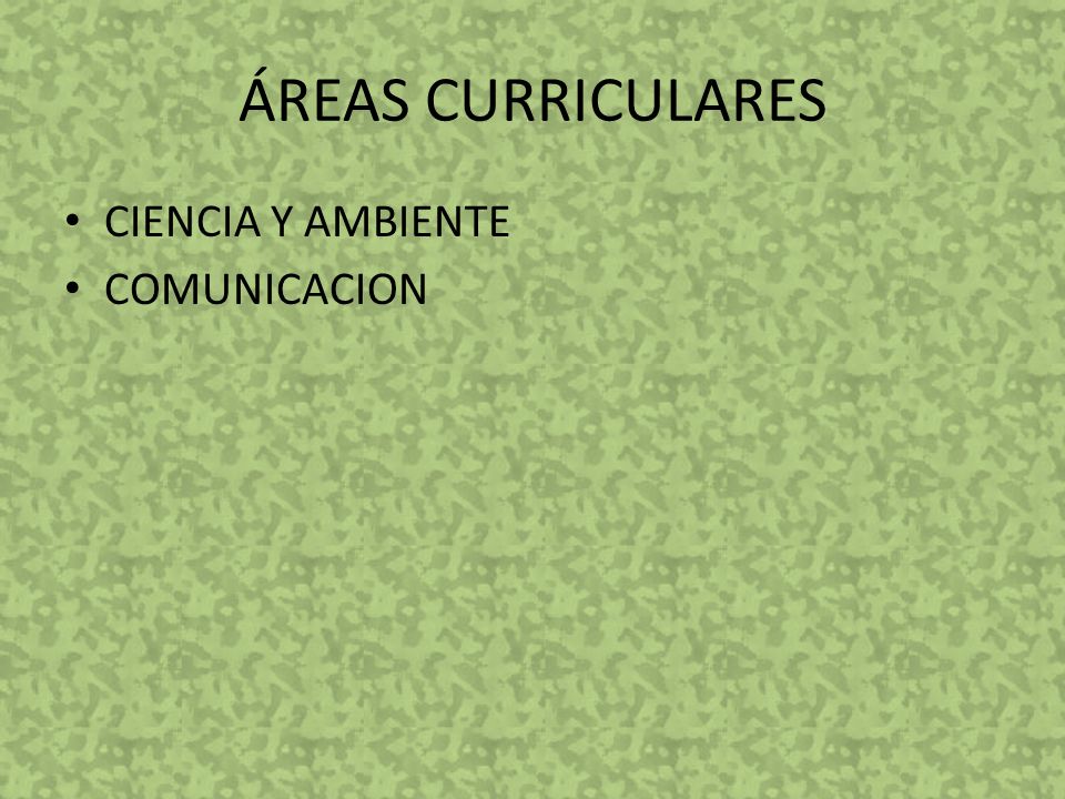 ÁREAS CURRICULARES CIENCIA Y AMBIENTE COMUNICACION