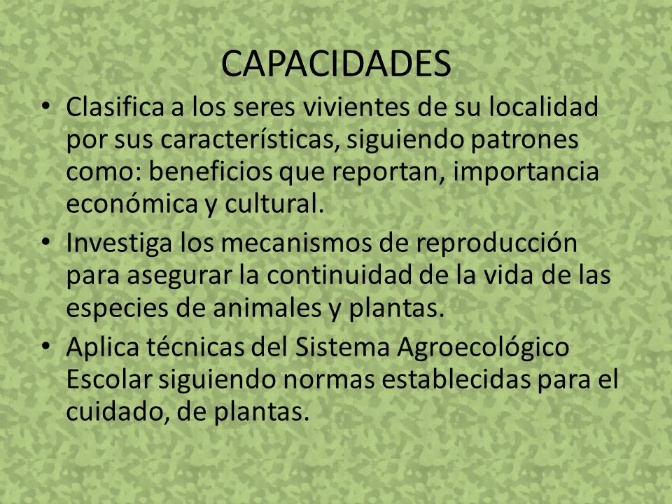CAPACIDADES