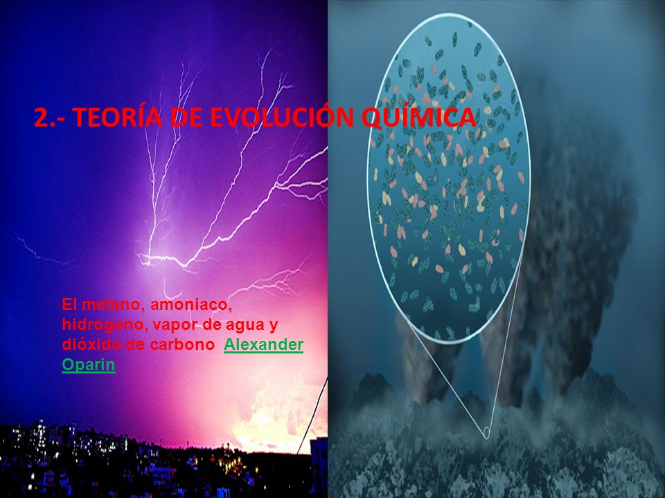 2.- TEORÍA DE EVOLUCIÓN QUÍMICA