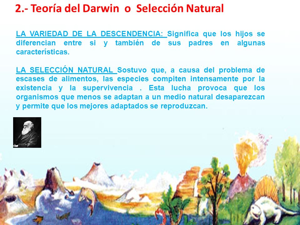 2.- Teoría del Darwin o Selección Natural