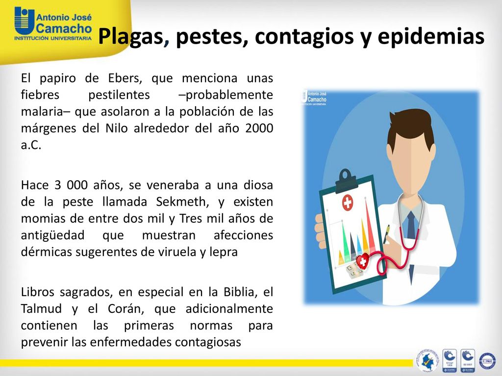 Plagas, pestes, contagios y epidemias