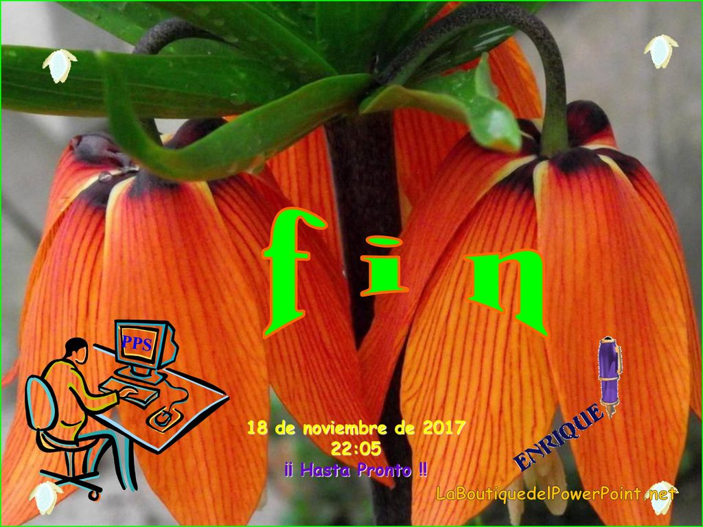 f i n PPS 18 de noviembre de :05 ¡¡ Hasta Pronto !!