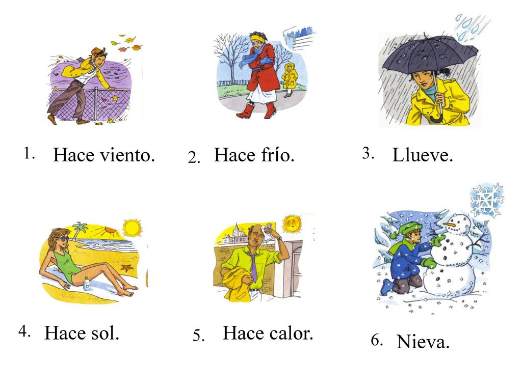 Hace viento. Hace frío. Llueve. Hace sol. Hace calor. Nieva