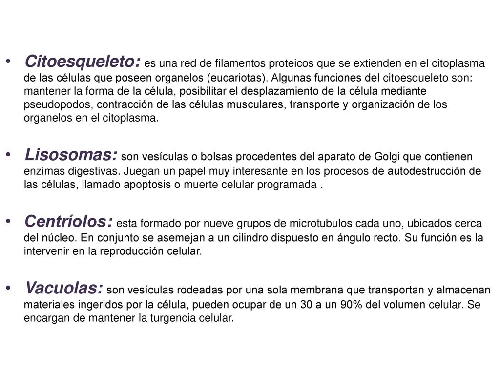 Citoesqueleto: es una red de filamentos proteicos que se extienden en el citoplasma de las células que poseen organelos (eucariotas). Algunas funciones del citoesqueleto son: mantener la forma de la célula, posibilitar el desplazamiento de la célula mediante pseudopodos, contracción de las células musculares, transporte y organización de los organelos en el citoplasma.
