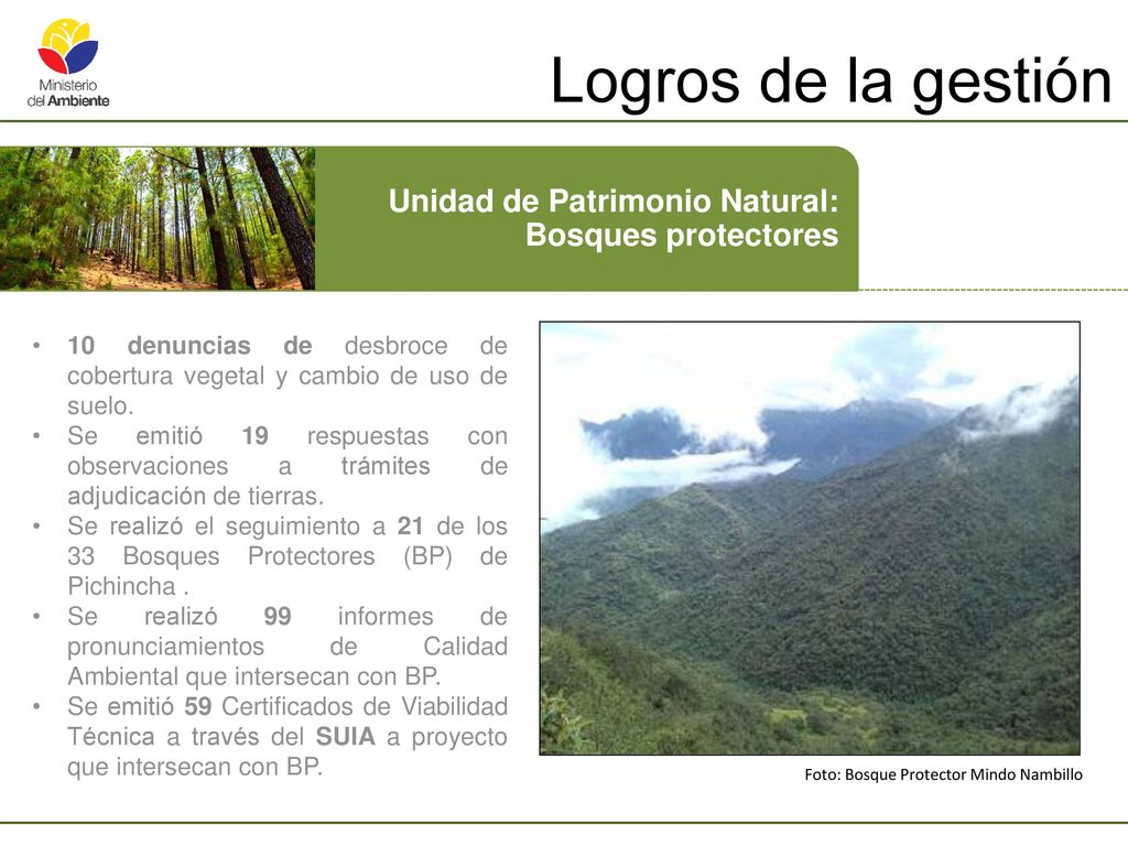 Logros de la gestión Unidad de Patrimonio Natural: Bosques protectores