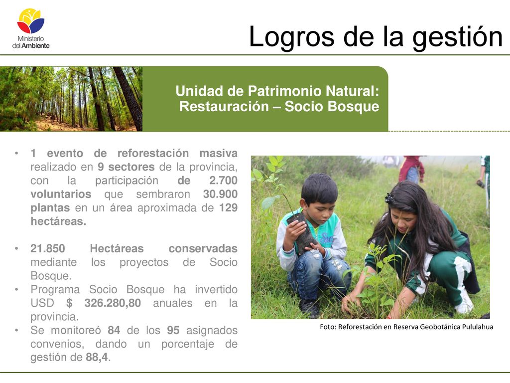 Logros de la gestión Unidad de Patrimonio Natural: Restauración – Socio Bosque.