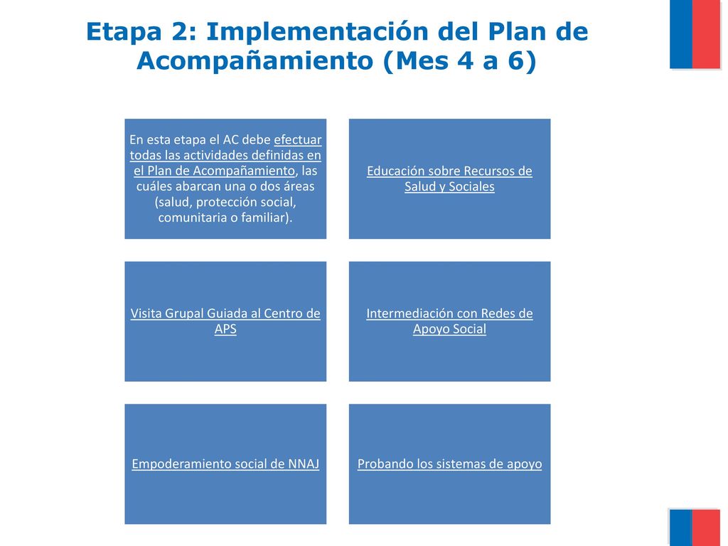 Etapa 2: Implementación del Plan de Acompañamiento (Mes 4 a 6)
