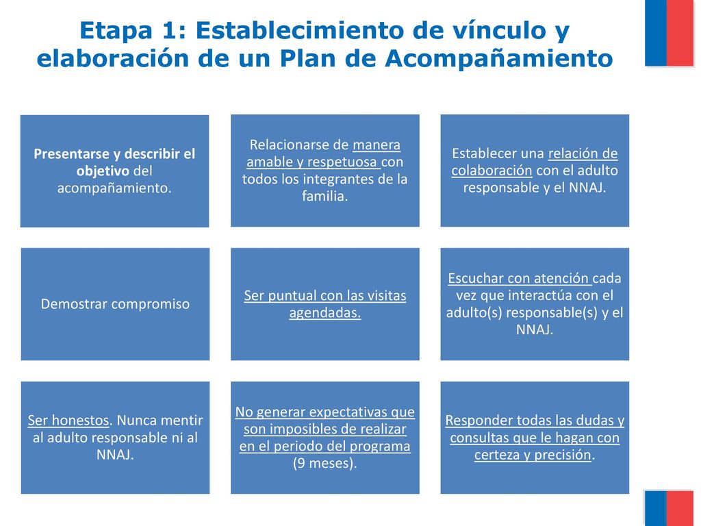Etapa 1: Establecimiento de vínculo y elaboración de un Plan de Acompañamiento