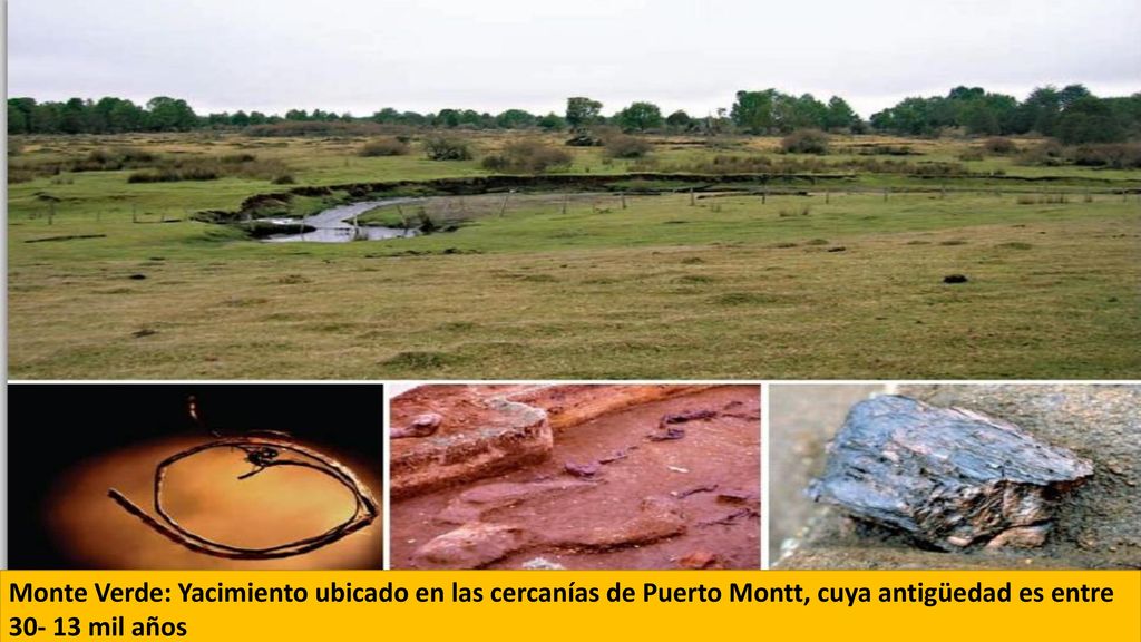 Monte Verde: Yacimiento ubicado en las cercanías de Puerto Montt, cuya antigüedad es entre mil años