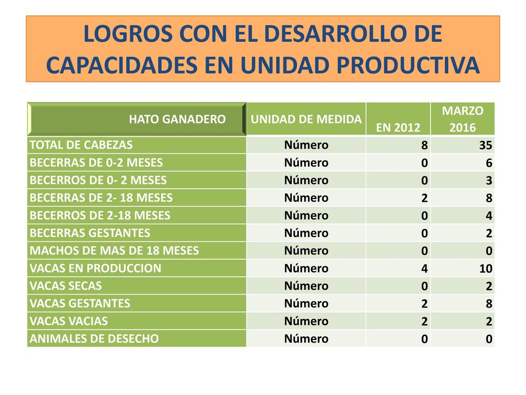 LOGROS CON EL DESARROLLO DE CAPACIDADES EN UNIDAD PRODUCTIVA