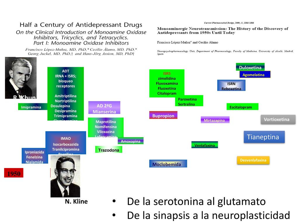 De la serotonina al glutamato De la sinapsis a la neuroplasticidad
