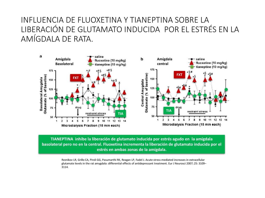 INFLUENCIA DE FLUOXETINA Y TIANEPTINA SOBRE LA LIBERACIÓN DE GLUTAMATO INDUCIDA POR EL ESTRÉS EN LA AMÍGDALA DE RATA.