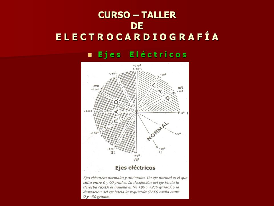 CURSO – TALLER DE E L E C T R O C A R D I O G R A F Í A