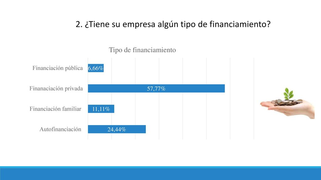 2. ¿Tiene su empresa algún tipo de financiamiento