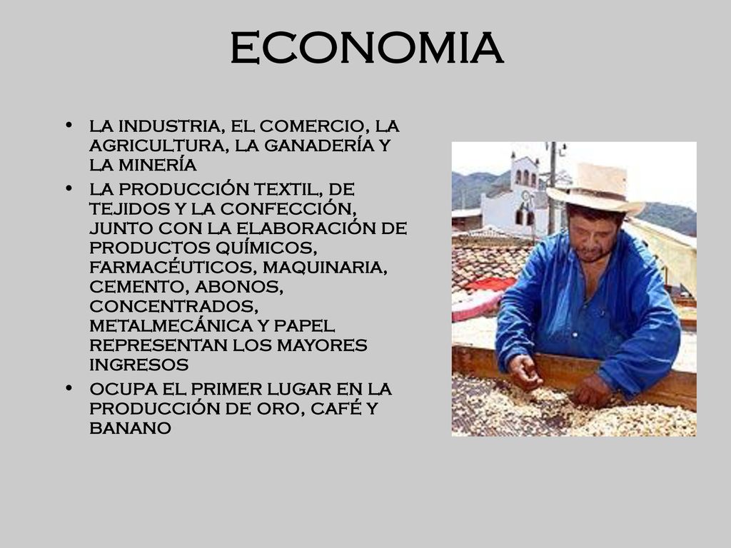 ECONOMIA la industria, el comercio, la agricultura, la ganadería y la minería.