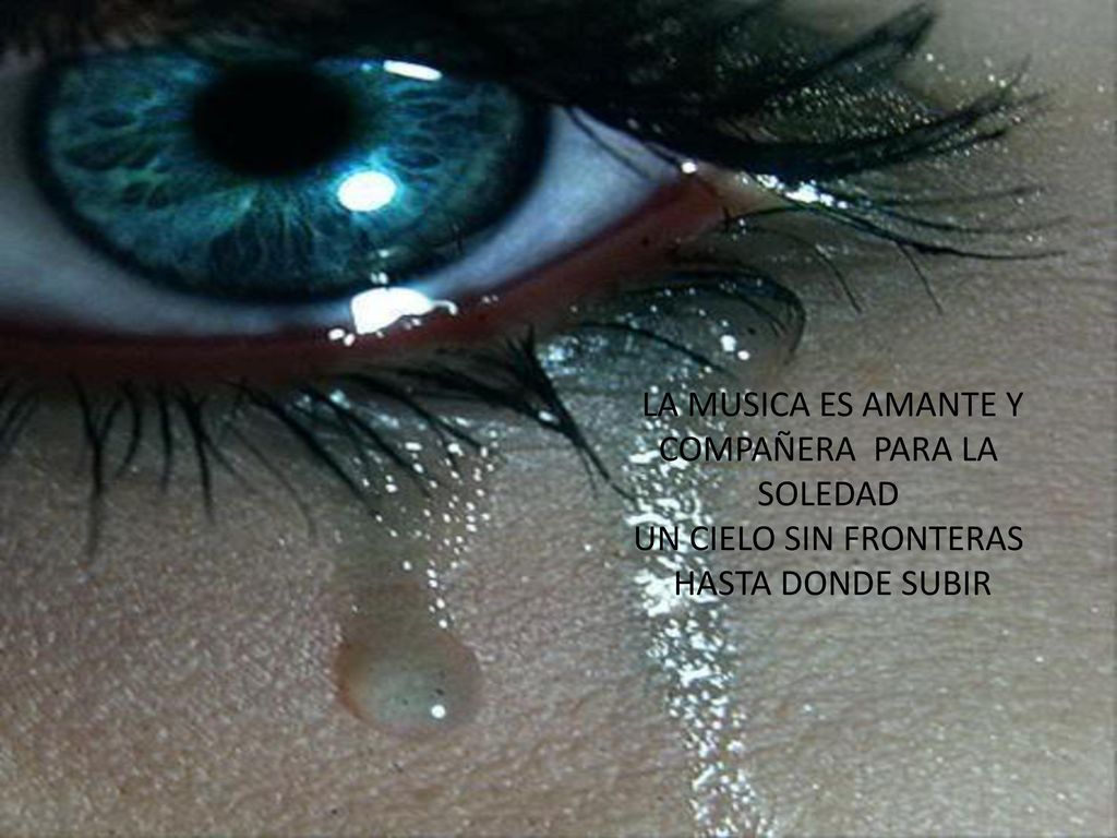 LA MUSICA ES AMANTE Y COMPAÑERA PARA LA SOLEDAD UN CIELO SIN FRONTERAS HASTA DONDE SUBIR