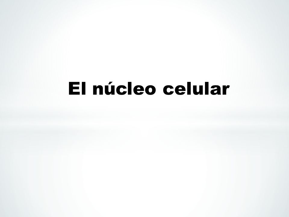 El núcleo celular