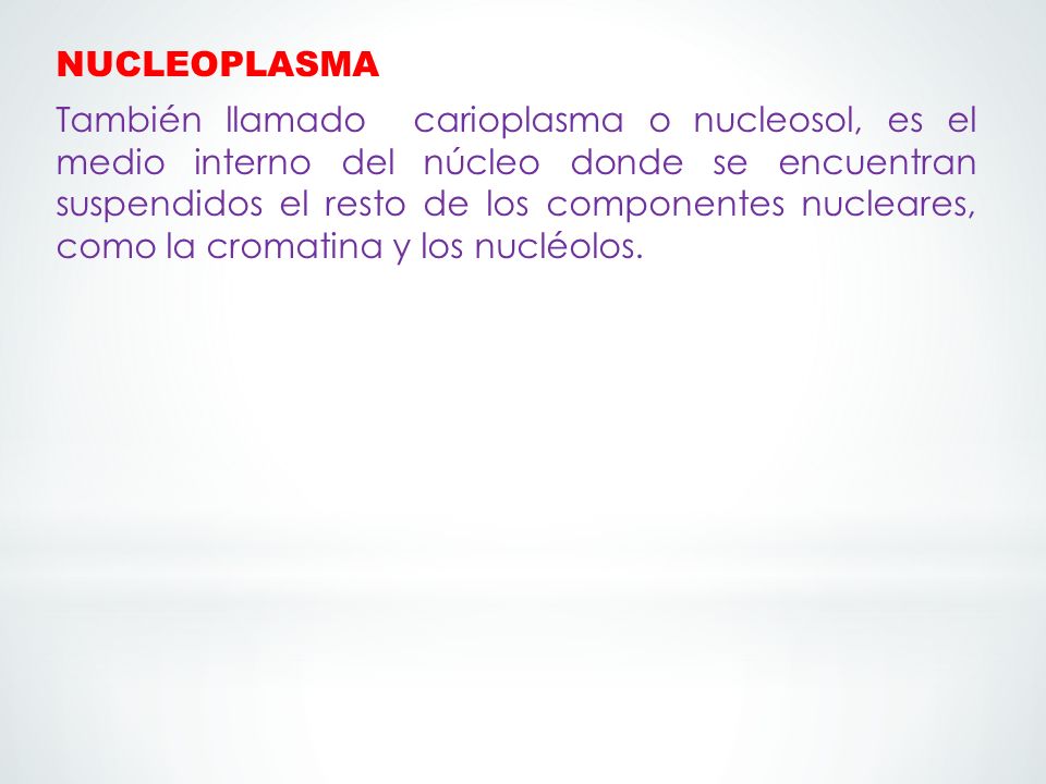 NUCLEOPLASMA También llamado carioplasma o nucleosol, es el medio interno del núcleo donde se encuentran suspendidos el resto de los componentes nucleares, como la cromatina y los nucléolos.