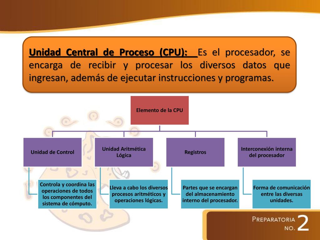 Unidad Central de Proceso (CPU): Es el procesador, se encarga de recibir y procesar los diversos datos que ingresan, además de ejecutar instrucciones y programas.